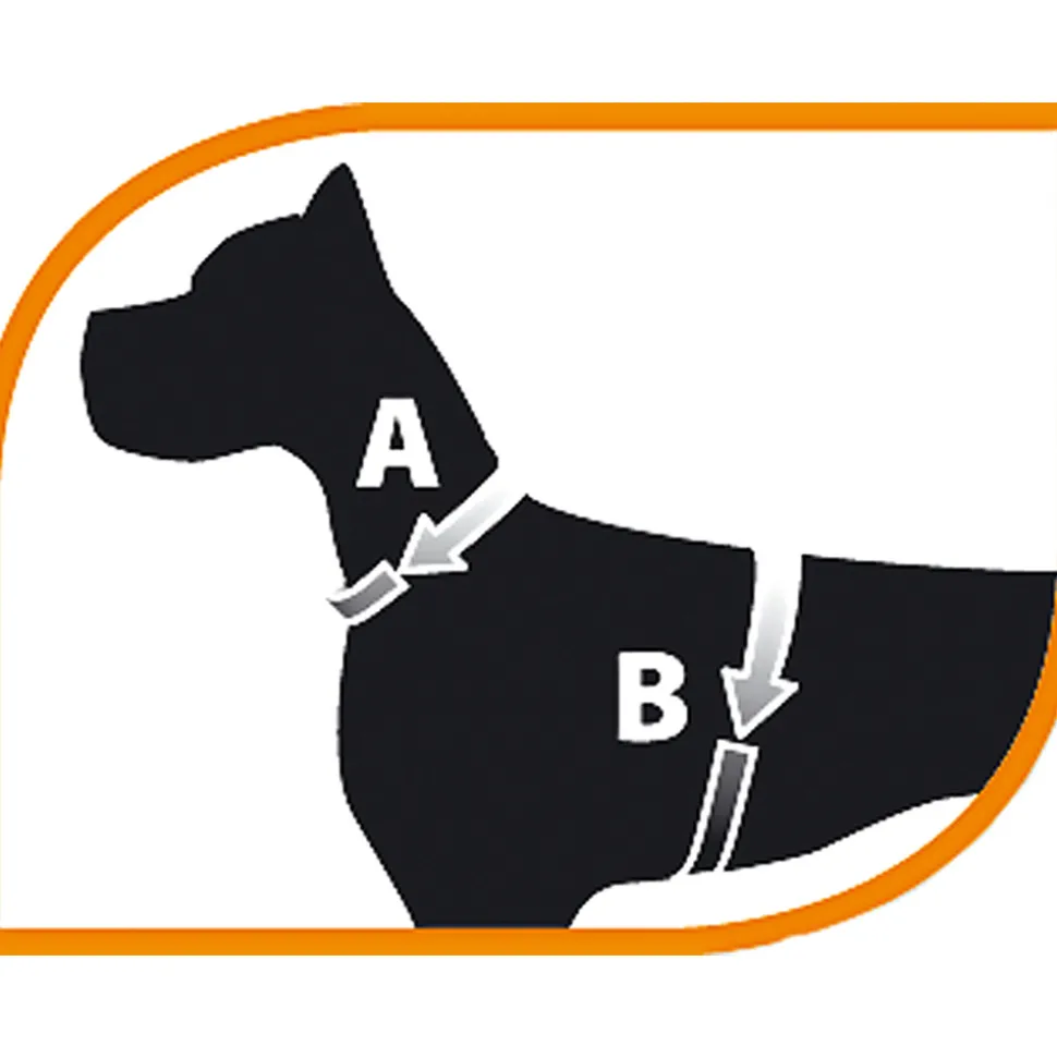 Harnais pour lapins jogging l, en filet perforé, équipé d'une laisse élastiquée