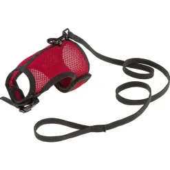 Harnais pour lapins jogging l, en filet perforé, équipé d'une laisse élastiquée