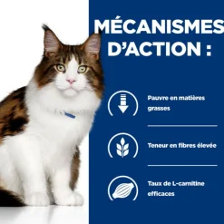 HILL'S - Croquettes chat adult prescription diets w/d multi benefit - hill's 3 kg