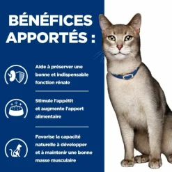 HILL'S - Patee chat adult prescription diets k/d kidney care saumon (sachet) - hill's 12*85 g