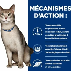 HILL'S - Patee chat adult prescription diets k/d kidney care saumon (sachet) - hill's 12*85 g