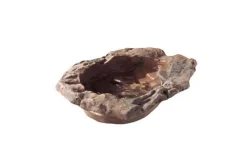 HOBBY - Gamelle enfouissable - terrapond 52 x 39 x 7 cm - abreuvoir pour reptiles (lézards, serpents, tortues), amphibiens et invertébré