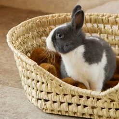 HOME MAISON - Home maison - panier osier pour chat