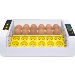 IDMARKET - Couveuse automatique 24 oeufs incubateur autonome intelligent