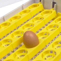 IDMARKET - Couveuse automatique 24 oeufs incubateur autonome intelligent