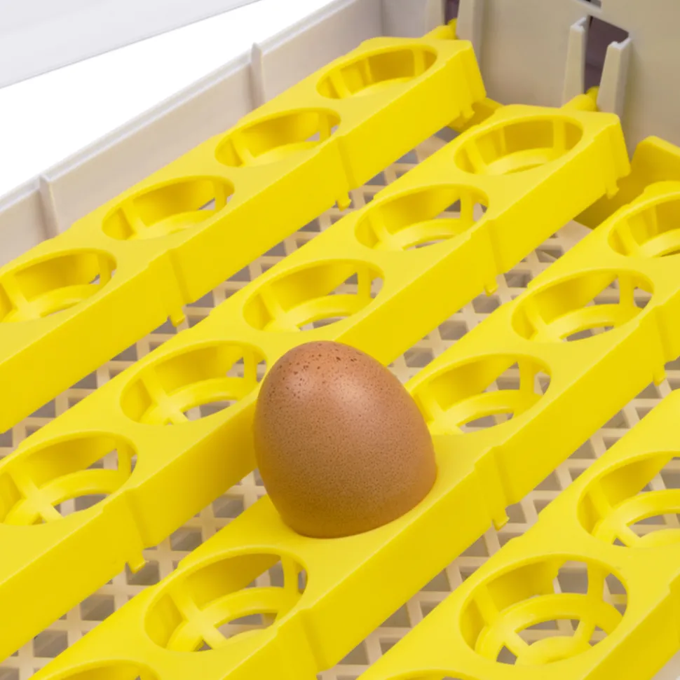 IDMARKET - Couveuse automatique 24 oeufs incubateur autonome intelligent