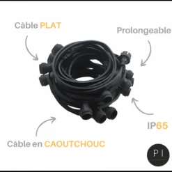 ILLUPRO - Guirlande guinguette extérieure ip65 10m 10 ampoules 2w plastique blanc chaud 2700k led câble plat noir extensible pro