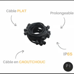 ILLUPRO - Guirlande guinguette 10 ampoules multicolores e27 10m extérieure ip65