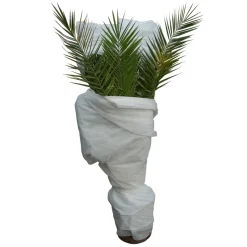 JANY - Voile d'hivernage 60gr/m² - 2x10m