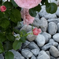 JARDINEX - Galet calcaire noir mat 60/100 mm- big bag 1t (8 m²) - noir