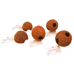 JBL - Grotte en écorce de noix pour terrarium