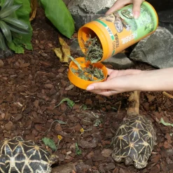 JBL - Herbil, alimentation pour tortues terrestres : 250ml