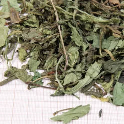 JBL - Herbil, alimentation pour tortues terrestres : 250ml