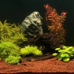 JBL - Substrat naturel Manado 10L