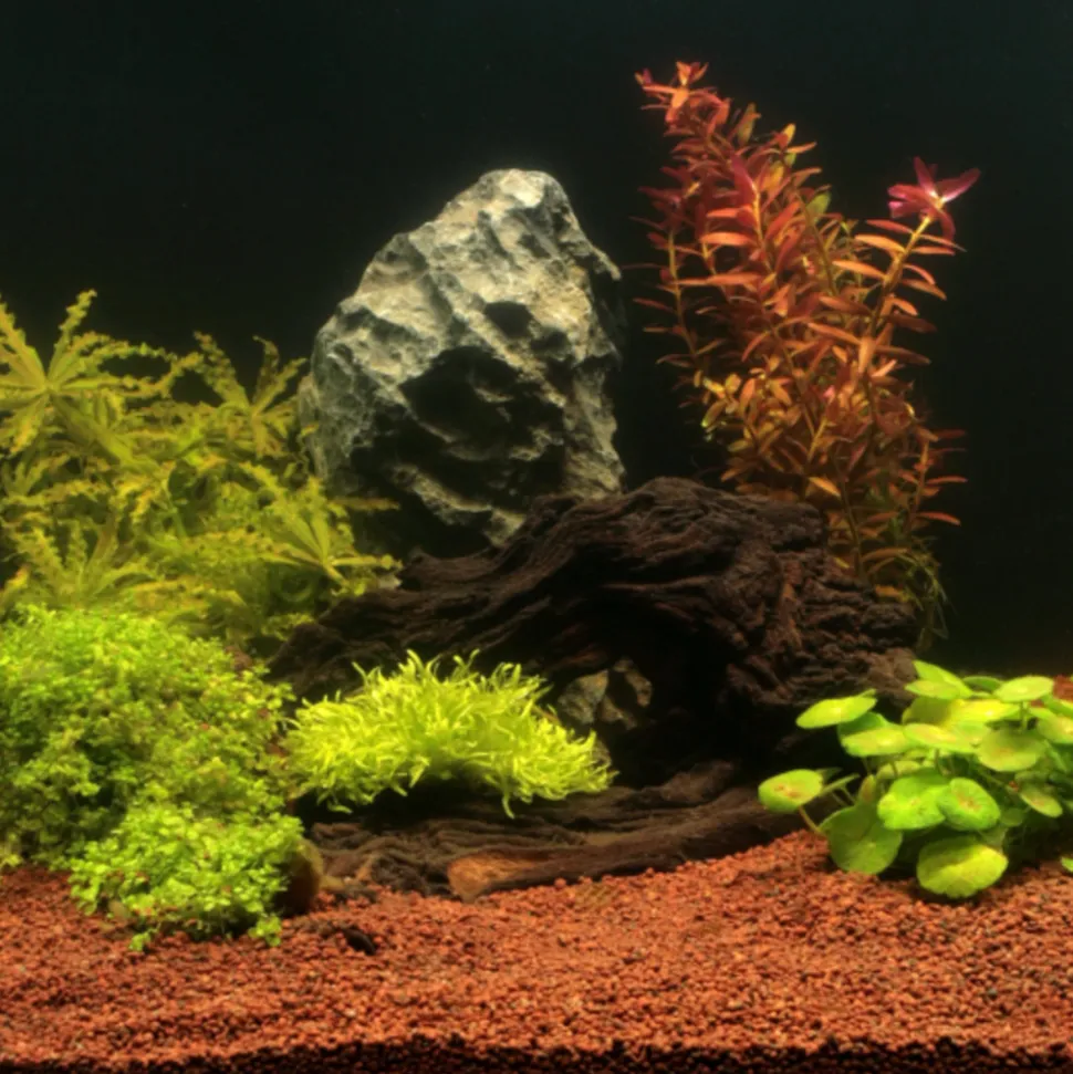 JBL - Substrat naturel Manado 10L