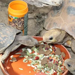 JBL - Vegabil, alimentation pour tortues terrestres : 250ml