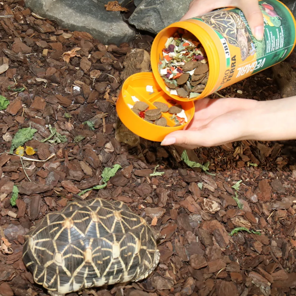 JBL - Vegabil, alimentation pour tortues terrestres : 250ml