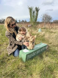 JUSTE UN ARBRE. - Olivier | idée cadeau : naissance, mariage, anniversaire - à planter en intérieur ou extérieur.