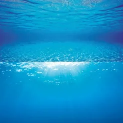 JUWEL - Poster de fond d'aquarium 2 xl : 150 x 60cm