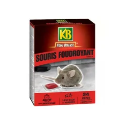 KB - Souris foudroyant pâtes kb home defense - 24 pâtes