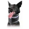 KVP - Collier cervical pour chiens noir (6-28 cm)