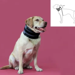 KVP - Collier cervical pour chiens noir (15-53 cm)