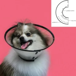 KVP - Collier de protection isabelino pour chiens saf-t-clear transparent (17-20 cm)