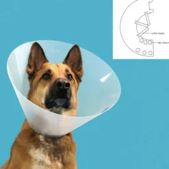 KVP - Collier de protection isabelino pour chiens quick fit transparent (63-78 cm)