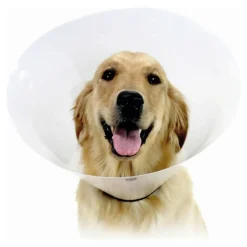 KVP - Collier de protection isabelino pour chiens check transparent (23-32 cm)