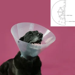 KVP - Collier de protection isabelino pour chiens betsy transparent (45-56 cm)