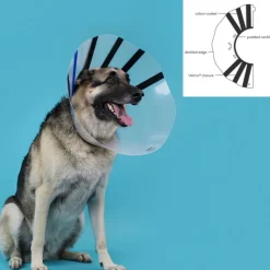 KVP - Collier de protection isabelino pour chiens ez clear (32-39 cm)