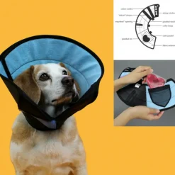 KVP - Collier de protection isabelino pour chiens calmer multicouleur (15-23 cm)