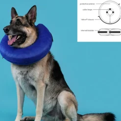 KVP - Collier de récupération pour chiens kong cloud bleu gonflable (33-46 cm)