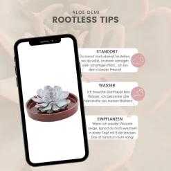 LA GREEN TOUCH - Agastache 'blue fortune' x40 – entre 2,5 et 3,33m2