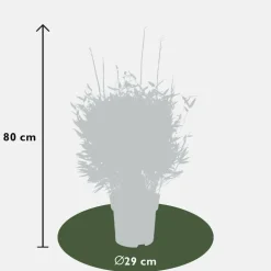 LA GREEN TOUCH - Bambou fargesia 'moontears' pot ø 29 cm