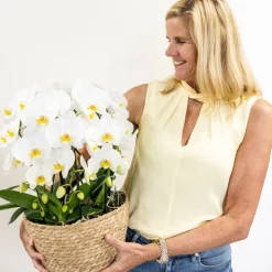 LA GREEN TOUCH - Bouquet d'orchidées blanches en panier avec réservoir d'eau 55cm - plante d'intérieur