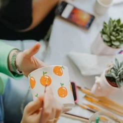 LA GREEN TOUCH - Coffret créatif débutant 4 succulentes