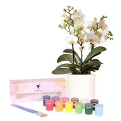 LA GREEN TOUCH - Coffret créatif débutant 4 orchidées