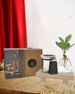 LA GREEN TOUCH - Coffret happiness plante en hydroculture