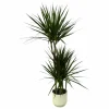 LA GREEN TOUCH - Dracaena marginata et son pot blanc - hauteur 120cm