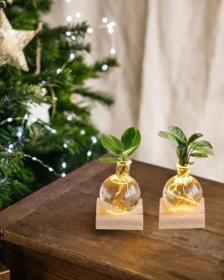 LA GREEN TOUCH - Duo samoa- hydroculture