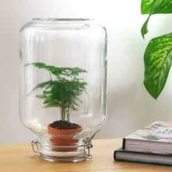 LA GREEN TOUCH - Easyplant - baby plante sous verre -