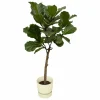 LA GREEN TOUCH - Ficus lyrata et son pot blanc + reservoir - hauteur 160cm