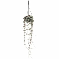 LA GREEN TOUCH - Grand ceropegia woodii - chaîne de coeurs 50cm - plante d'intérieur
