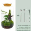 LA GREEN TOUCH - Kit terrarium diy - salen - rateau + pelle + pince + ciseaux