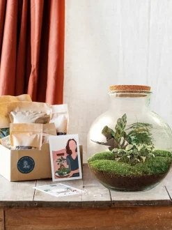 LA GREEN TOUCH - Kit terrarium diy - baobab calathea + asparagus + fittonia - rateau + pelle + pince