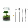 LA GREEN TOUCH - Kit terrarium diy - oslo caféier - rateau + pelle + pince + ciseaux