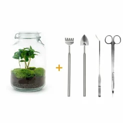 LA GREEN TOUCH - Kit terrarium diy - oslo caféier - rateau + pelle + pince + ciseaux