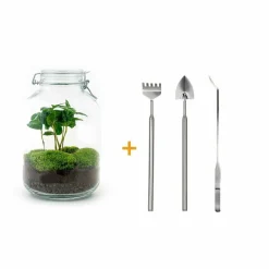 LA GREEN TOUCH - Kit terrarium diy - oslo caféier - rateau + pelle + pince