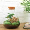 LA GREEN TOUCH - Kit terrarium diy - sama caféier + fittonia rouge - sans outil